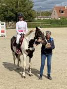 cheval &agrave; vendre / louer 