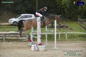 Jument Cheval de Sport Tch&egrave;que  A vendre 2013 Bai