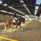 Aleos franche montagne 5 ans 