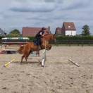 Aleos franche montagne 5 ans 