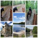 Demi-pension &eacute;quitation d'ext&eacute;rieur, promenade, randonn