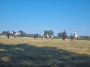 Pension id&eacute;ale pour chevaux d'&eacute;levage, retraite ...