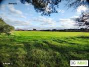 13 AIX EN PROVENCE PROPRIETE 3 LOGEMENTS HANGARS TERRES