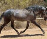 Grand, agr&eacute;able et facile