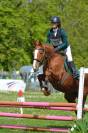 Demi-pension sur top jument de CCE, dressage, hunter !