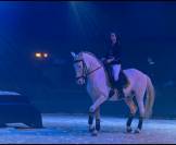 Cheval pie cr&egrave;me &agrave; vendre