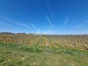 Propri&eacute;t&eacute; en AB proche Cahors