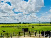 PROPRIETE DE 5 HECTARES DANS LE TARN ET GARONNE 