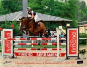 Vendesi cavalla da salto