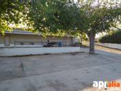 Propri&eacute;t&eacute; &eacute;questre A louer Tarragone