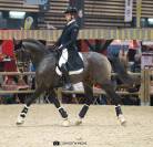 Enseignant Dressage/Equitation de travail