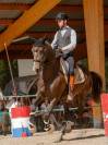Enseignant Dressage/Equitation de travail
