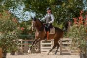 Enseignant Dressage/Equitation de travail