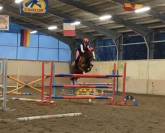 Pony classe B altamente competitivo per salto ostacoli