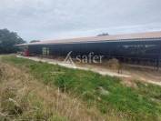 Propri&eacute;t&eacute; d'environ 12,20 ha tr&egrave;s bien structur&eacute;e