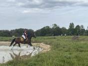 Jazzie de l'&eacute;tang ponette polyvalence