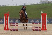 Recherche d'emploi milieu equestre