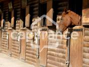 Bouches-du-Rh&ocirc;ne (13) SAINTES MARIES DE LA MER (13460) 