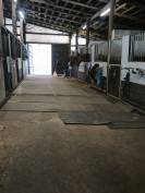 Location ecuries brabant wallon r&eacute;gion nivelles 