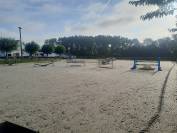 Location ecuries brabant wallon r&eacute;gion nivelles 