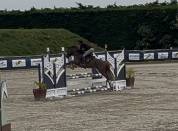 Poney de sport/famille