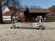 Poney de sport/famille