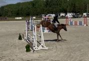 Poney de sport/famille