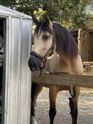 Confiance tous frais tous gains