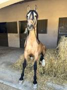 Confiance tous frais tous gains