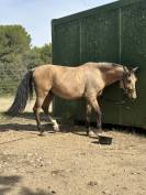 Confiance tous frais tous gains