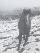 Connemara Plein papier