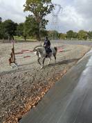 Selle fran&ccedil;ais 