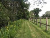 Equestrian property  Calvados