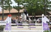Ponette C par Machno Carwyn