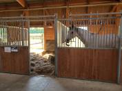 Moniteur/trice d'&eacute;quitation 