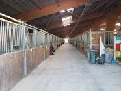 Moniteur/trice d'&eacute;quitation 