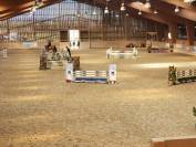 Moniteur/trice d'&eacute;quitation 