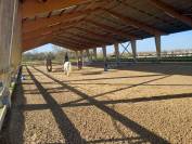 Moniteur/trice d'&eacute;quitation 