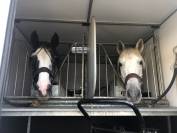 VL Master long 170CV 5 pl assises