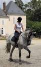 1/2 pension PRE de sport de 8 ans