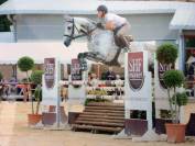 Jument d'&eacute;cole Westfalen 2009, dressage