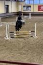 Vendo pony (Milano/Varese)