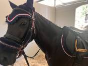 Vendo pony (Milano/Varese)