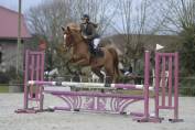Poney D 9 ans 