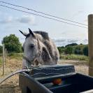 Recherche collaboration / installation au sein d&rsquo;une st