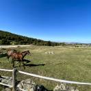 Recherche collaboration / installation au sein d&rsquo;une st