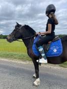 &Agrave; vendre double poney 