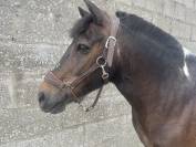 &Agrave; vendre double poney 