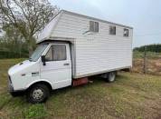 Daily 53/10 anno 1989 per trasporto cavalli 