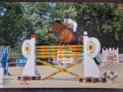 Fattrice Italiana 2015 Ottima Genealogia &ndash; Montabile 